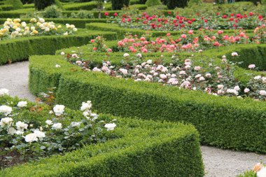 Resmi Bir Yaz Gül Bahçesi ile Yollar.