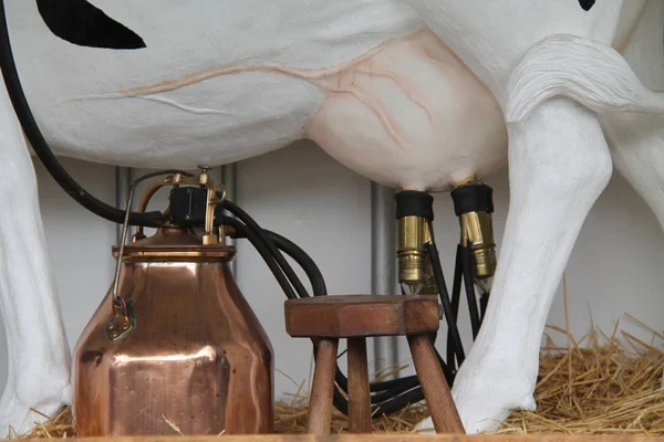 Μια Εικονική Μηχανή Αρμέγματος Γαλακτοκινητής Αγελάδας — Φωτογραφία Αρχείου