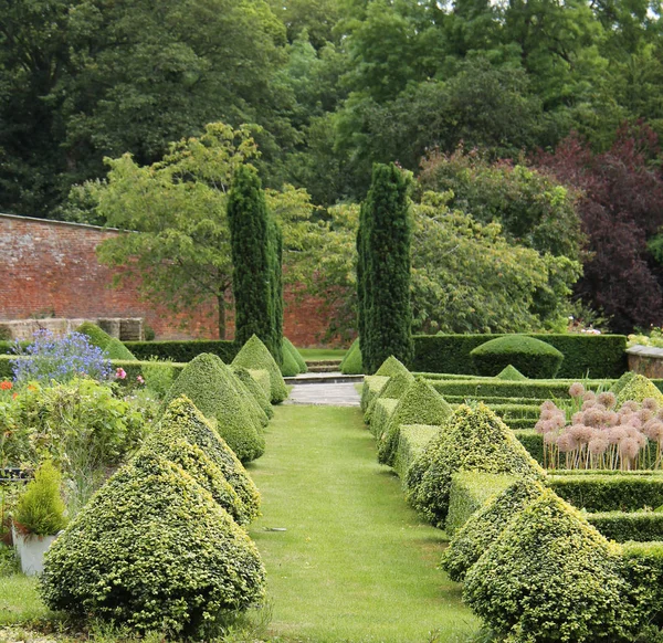 Vissa Lågskurna Topiary Häckar Formell Trädgård — Stockfoto