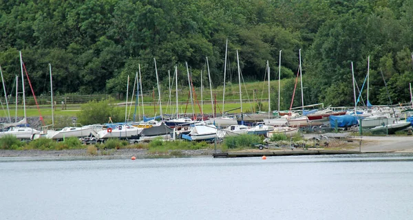 Una Colección Barcos Vela Parque Junto Lago —  Fotos de Stock