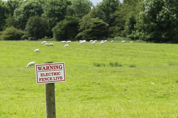 Electrified Boundary Fence Farm Sheep Field — Stock Photo, Image