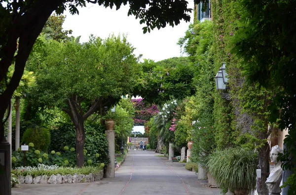ağaç, bitki, Bahçe, flora, çiçek, Botanik Bahçesi, geçit, Emlak, çalı, sokak, buckeye, at kestanesi, sincap, park bankında, sera, fidanlık, glasshouse, daraba, çit, labirent, labirent 