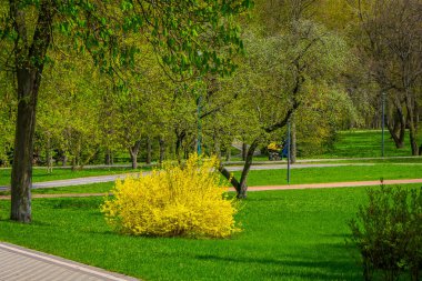 Güzel açık görünümü nehrin Svisloch Minsk zafer parkında yakın park bulunan gress çim ve ağaçların