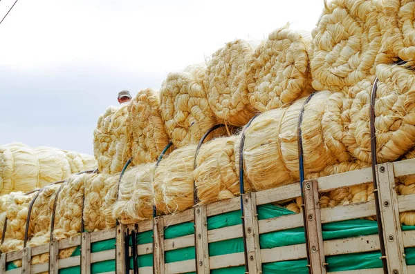 Vista exterior de fardos de paja fresca en un remolque en un campo — Foto de Stock