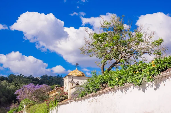 Vista exterior de las plantas dentro de una valla apedreada con edificios antiguos en Antigua Guatemala, la ciudad histórica Antigua es Patrimonio de la Humanidad por la UNESCO —  Fotos de Stock