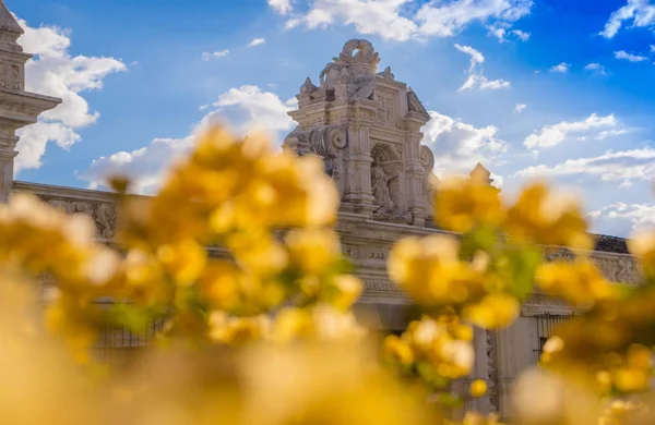 Ciudad de guatemala, guatemala, 25. april 2018: nahaufnahme von selektivem fokus verschwommener blumen mit altem gebäude mit geschnitzten strukturen in der stadt antigua an einem herrlichen sonnigen tag — Stockfoto