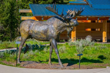 Jackson Hole, Wyoming ABD - 23 Mayıs 2018: Thomas keşif ziyaretçi merkezi, ente, bronz geyik heykelinin açık görünüm açık erken Mart Kasım başlangıcına kadar