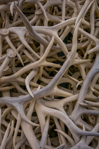 Close up of selective focus of antler structure in Jackson Hole town — Stock Photo, Image