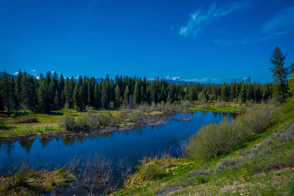 Vista al aire libre del estanque natural del pequeño río en el hermoso paisaje natural, con pinos en el Parque Nacional Grand Teton, Wyoming durante el hermoso día soleado en verano — Foto de Stock