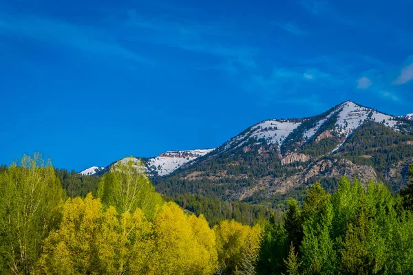 Grand Tetons reichen im Morgenlicht, mit einem riesigen Berg teilweise mit Schnee bedeckt am Horizont in herrlich blauem Himmel — Stockfoto