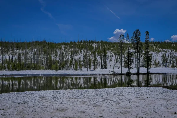 Vista al aire libre del bosque congelado, pino parcial cubierto de nieve y río que fluye en el Parque Nacional Yellowstone, en un hermoso día soleado — Foto de Stock