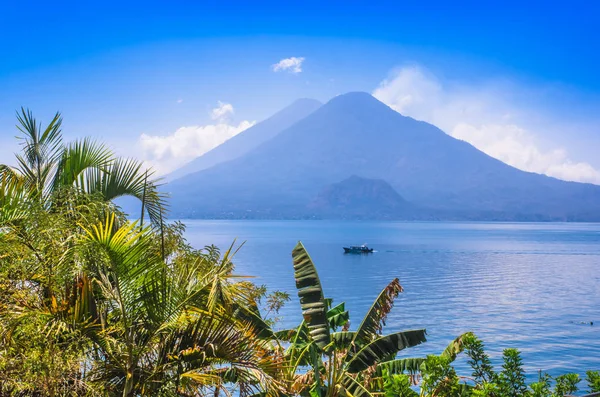Lake Atitlan düzülmüş manzaralı renkli sarı bitkiler ağacının kapatın, tüm yaklaşık 340 metre, derinliği ile Orta Amerika'nın en derin gölüdür arka planda volcano ile