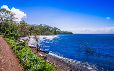 Deniz kıyısı Isla Ometepe Nikaragua, okyanusun güzel açık bakış. doğa: Ometepe Island içinde ve çevresinde