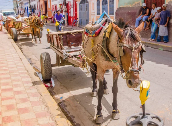 GRANADA, NICARAGUA, 14 DE MAYO DE 2018: Vista al aire libre del caballo con un carruaje de madera esperando ser alquilado por turistas para recorrer la ciudad colonial —  Fotos de Stock