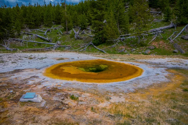 Piscine de beauté, Vieux Bassin Fidèle, Parc National Yellowstone Wyoming — Photo