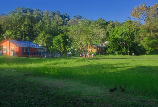 Bocas del Toro aynı ada Karayipler Batı Eyaleti başkenti olan ada Bastimento bitki örtüsü ile çevreleyen tahta evler — Stok fotoğraf