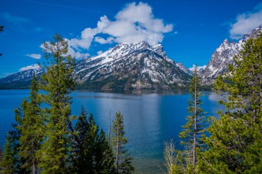 Jenny göl ve Grand Teton Milli Parkı, Wyoming yaz aylarında dağlarında
