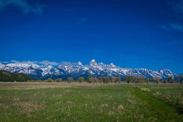 Gyönyörű táj, a Grand Tetons tartományban található a Grand Teton nemzeti parkban, Wyoming, a ház hegyi a horizont a hóval borított csúcsai — Stock Fotó