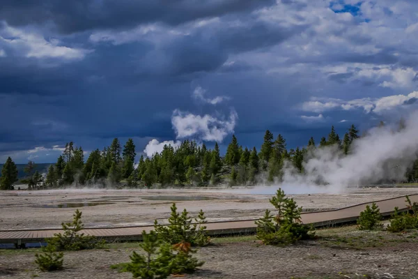 Vista al aire libre de algunos árboles en el horizonte con pequeños géiseres, aguas termales y respiraderos de la cuenca Norris Geyser, Parque Nacional Yellowstone — Foto de Stock