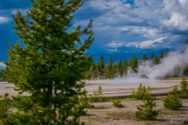Vista al aire libre de algunos árboles en el horizonte con pequeños géiseres, aguas termales y respiraderos de la cuenca Norris Geyser, Parque Nacional Yellowstone — Foto de Stock
