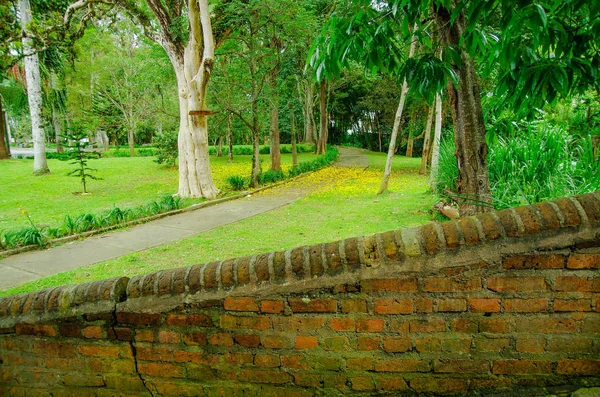 Vista ao ar livre da ponte de tijolo localizada dentro da floresta na cidade colonial Popayan — Fotografia de Stock