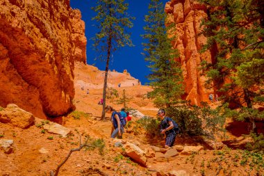 Bryce Canyon, Utah, Haziran, 07, 2018: Çam ağaçlarının Milli Parkı, Utah Bryce Canyon çevreleyen içinde yürüyüş Tanımlanamayan kişi