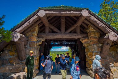 Yellowstone, Montana, ABD 02 Haziran 2018: kimliği belirsiz kişi geysers ve ağaçlar arasında ahşap bir yol yürüme. Norris şofben Havzası havza geri. Yellowstone Milli Parkı, Wyoming