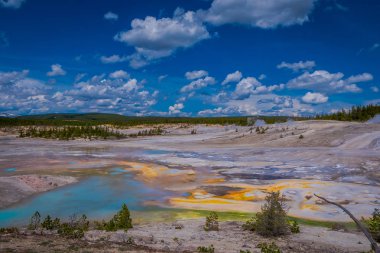 Norris şofben Havzası, dumanı tüten opak termal havuzlar. Yellowstone Milli Parkı, Wyoming, güzel mavi gökyüzü ve güneşli bir gün