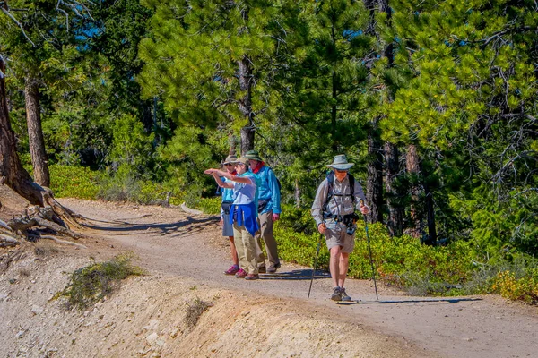 Bryce Canyon Utah Junho 2018 Vista Grupo Caminhantes Caminhando Uma — Fotografia de Stock