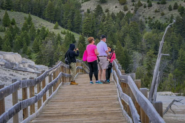 Yellowstone Montana Amerikai Egyesült Államok 2018 Május Azonosítatlan Emberek Séta — Stock Fotó