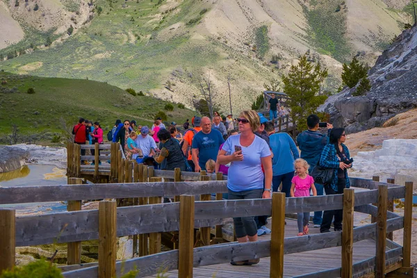 Yellowstone, Montana, ABD 24 Mayıs 2018: Kanarya Springs adlı teraslar Yellowstone Milli Parkı, Wyoming mamut sıcak su kaynakları üzerinde yürüyen Tanımlanamayan kişi — Stok fotoğraf