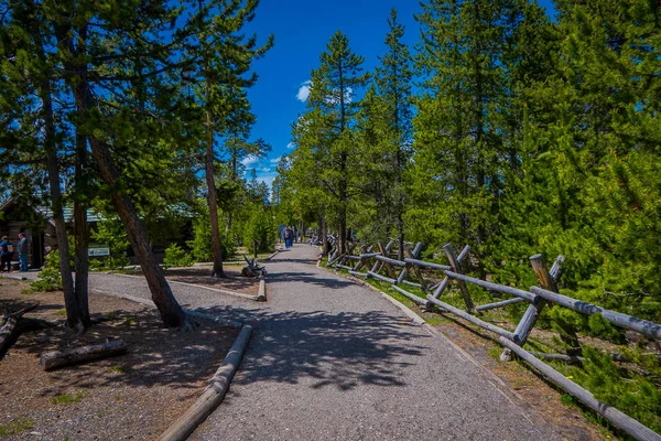 Yellowstone, Montana, USA 02. Juni 2018: Unbekannte betreten einen Holzweg zwischen Geysiren und Bäumen. Hinteres Becken des norris Geysirbeckens. Yellowstone-Nationalpark, im Aufwind — Stockfoto