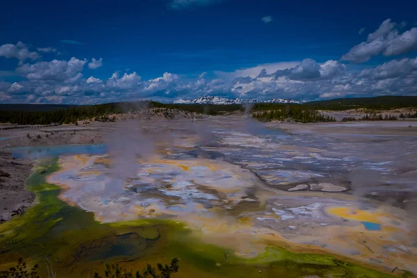 Piscinas térmicas opacas a vapor na bacia de Norris Geyser. Parque Nacional de Yellowstone, Wyoming — Fotografia de Stock