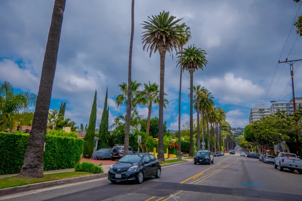 Los Angeles, Califórnia, EUA, 15 de junho de 2018: Rua de árvores de Palma em Beverly Hills e carros que circulam nas estradas de Los Angeles, Califórnia, EUA, é a famosa Avenida e casas de celebridades — Fotografia de Stock