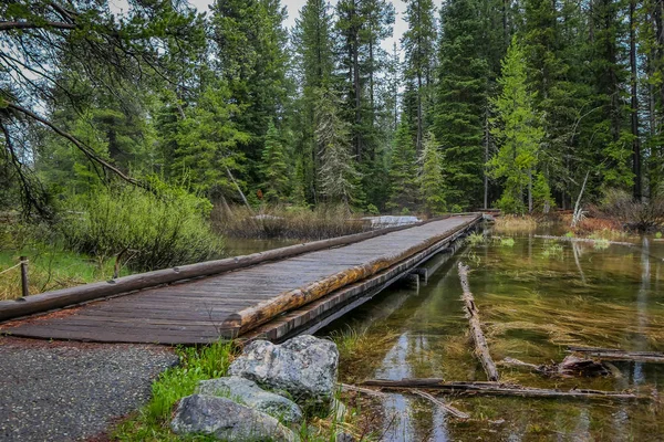 Outdoor view of wooden path over a stagnant water in a foggy forest, located Grand Tetons close to Jenny Lake in USA.
