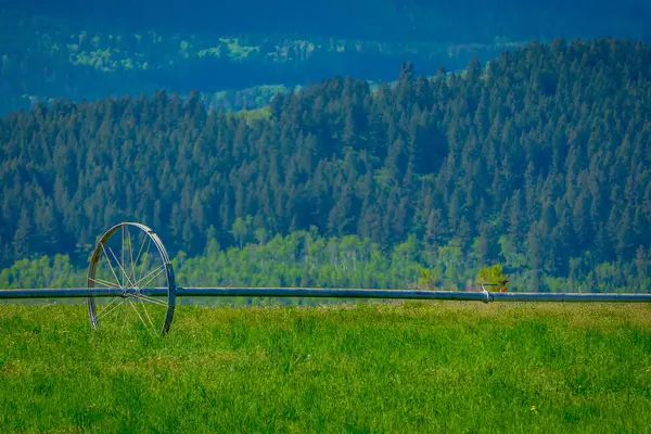 Außenansicht von Wiese und grünem Gras mit einer Wasserbewässerung in einem Bauernhof im Yellowstone-Nationalpark — Stockfoto