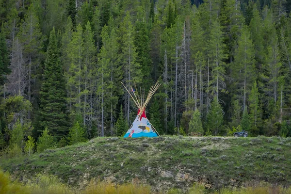 Yellowstone Nationalpark, Wyoming, USA - 07. Juni 2018: Außenansicht einer alten indigenen Hütte mit einem wunderschönen Wald im Hintergrund im Yellowstone Nationalpark und grünem Gras — Stockfoto