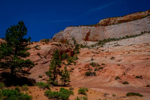 Closeup of Mountain Landscape in the Valley in Zion National Park, Utah — Stock Photo, Image