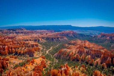 Bryce canyon Milli Parkı güneybatı Utah Amerika Birleşik Devletleri'nde bulunan milli park olan