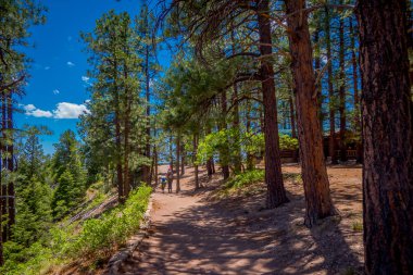 Kum yolu içinde Güney Rim iz büyük kanyon, Arizona üzerinde yürüyen turist ailenin açık görünüm