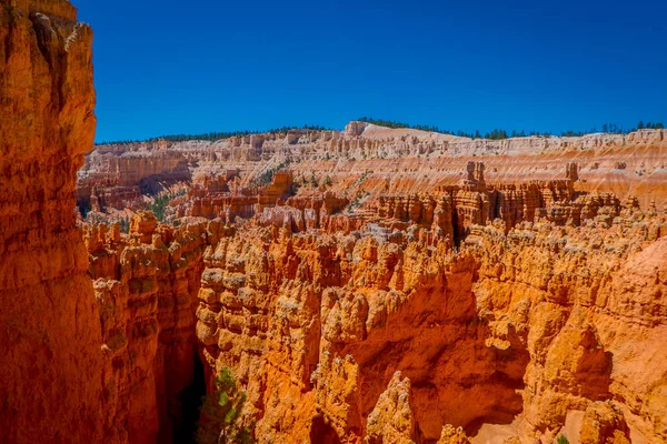 Hoodoo landscape of Bryce Canyon National Park — Stock Photo, Image