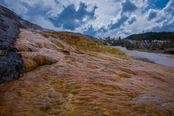 Változatos Meleg Tavaszi Termikus Színek Mammoth Hot Springs Található Yellowstone — Stock Fotó