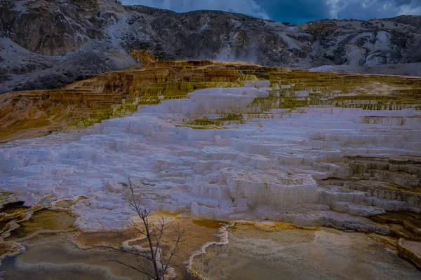 Varied Hot Spring Thermal Colors - Mammoth Hot Springs é a única grande área térmica de Yellowstone localizada bem fora da Caldeira. Os terraços mudam constantemente às vezes perceptível dentro de um dia — Fotografia de Stock