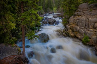 Yellowstone Milli Parkı, Wyoming Yellowstone Nehri üzerinde açık görünümü alt düşüyor