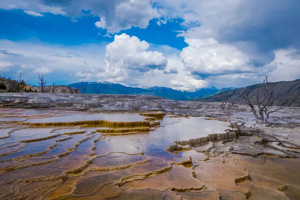 New Highland Terrace, Mammoth Hot Springs, parc national Yellowstone, Wyoming — Photo