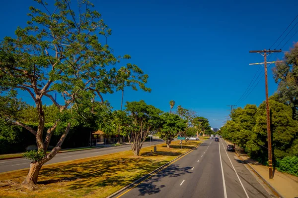 Лос-Анджелес, Калифорния, США, 15 июня 2018 года: Пальмовые деревья на улице Беверли-Хиллз и автомобили, кружащие по дорогам Лос-Анджелеса, Калифорния — стоковое фото