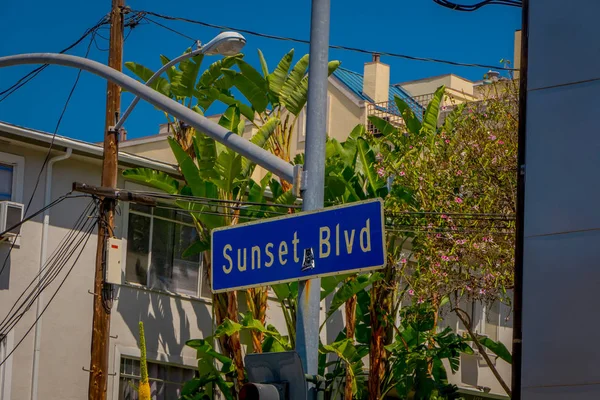 Los Angeles, California, Stati Uniti d'America, 20 agosto 2018: Vista esterna del tramonto Cartello stradale Blvd con palme a Hollywood, California — Foto Stock