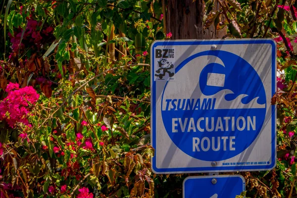 Los Ángeles, California, Estados Unidos, 20 de agosto de 2018: Vista al aire libre del signo informativo de la ruta de evacuación en Venice Beach, California advierte que el área es una zona de peligro de tsunami — Foto de Stock