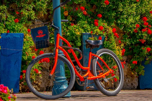 洛杉矶, 加利福尼亚, 美国, 琼, 15, 2018: 户外的红色自行车视图停在圣莫尼卡威尼斯海滩外, 深受国内居民的欢迎, 以放松和运动 — 图库照片