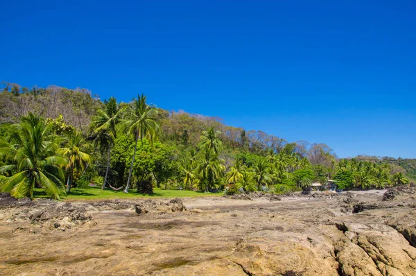 Bellissimo paesaggio di spiaggia rocciosa e alberi a Playa Montezuma in splendido cielo blu e giornata di sole — Foto Stock